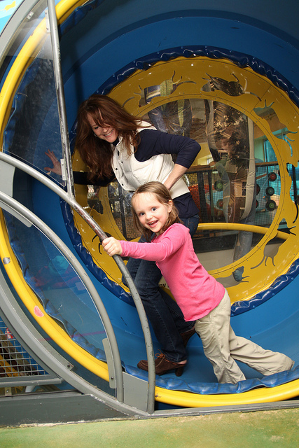 Gerbil Wheel