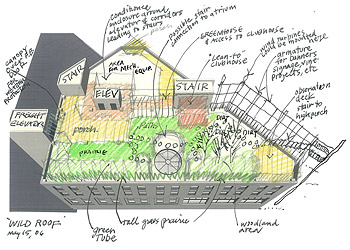 Madison Children's Museum Roof Top Garden