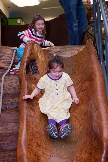 Tree trunk slide